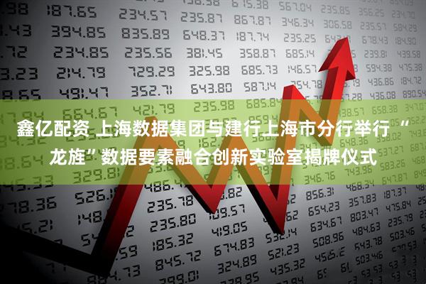 鑫亿配资 上海数据集团与建行上海市分行举行 “龙旌”数据要素融合创新实验室揭牌仪式