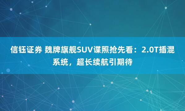 信钰证券 魏牌旗舰SUV谍照抢先看：2.0T插混系统，超长续航引期待