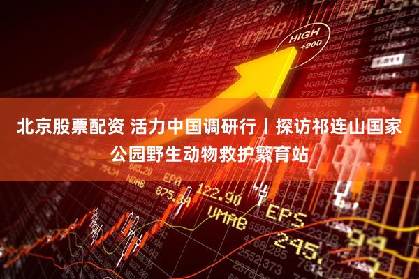 北京股票配资 活力中国调研行丨探访祁连山国家公园野生动物救护繁育站