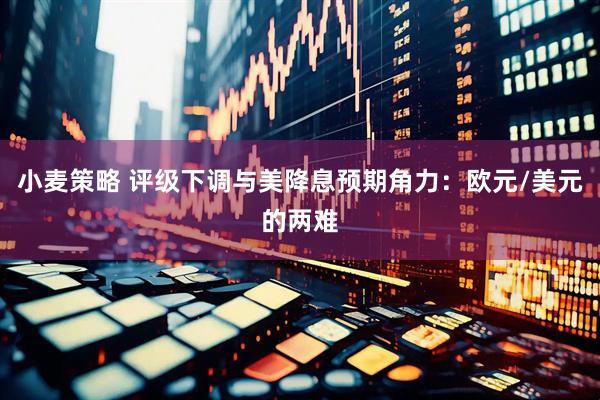 小麦策略 评级下调与美降息预期角力：欧元/美元的两难