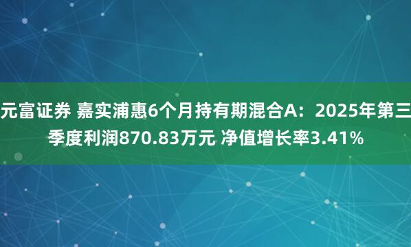 元富证券 嘉实浦惠6个月持有期混合A：2025年第三季度利润870.83万元 净值增长率3.41%